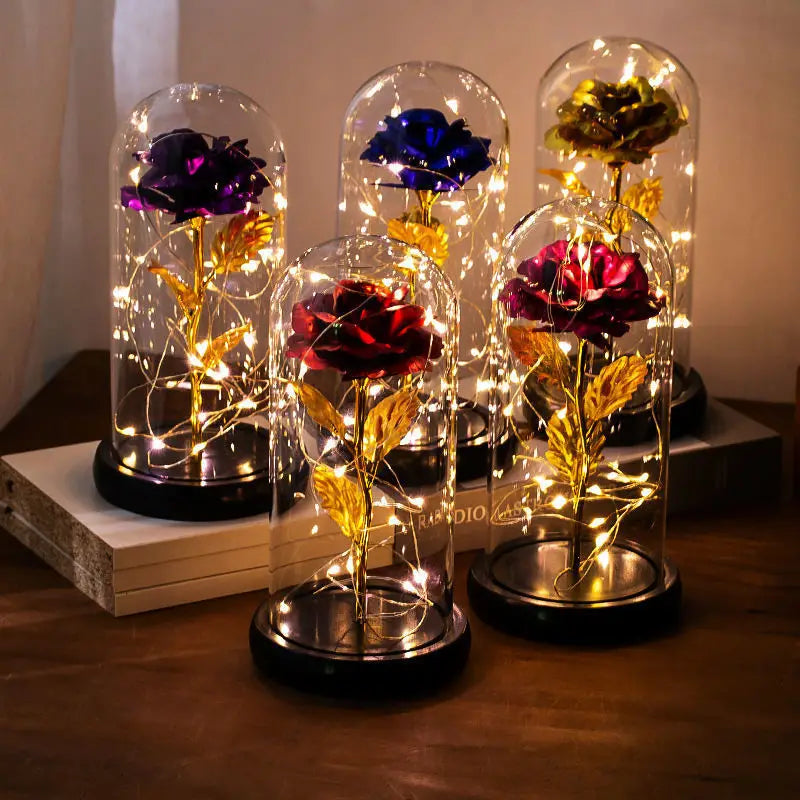 Eternal Rose Dome with lights