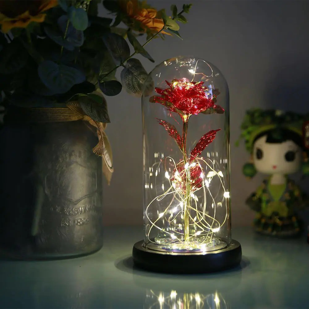 Eternal Rose Dome with lights