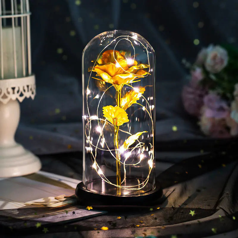 Eternal Rose Dome with lights